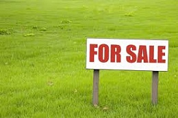 УФАС аннулировала аукцион по продаже права на аренду земельных участков
